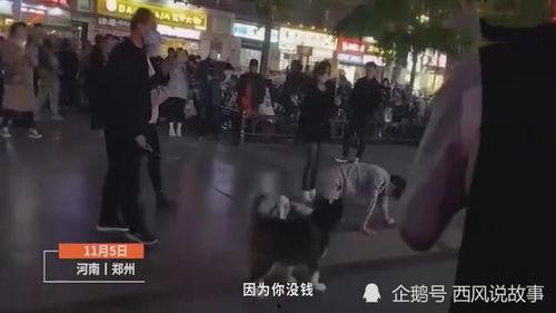 打鞭子视频,揭秘传统技艺的魅力瞬间