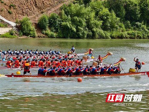 赛龙舟视频,共赏竞技风采