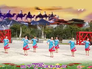 一广场舞视频,乐享晚年——广场舞视频精彩回顾