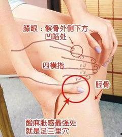 拍打足三里视频,简单易学，健康生活新选择