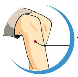 拍打足三里视频,简单易学，健康生活新选择